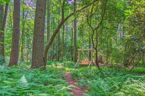 Rustic and Authentic Farm Stay by DuPont Forest!