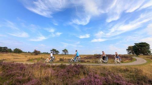 Heerlijke vakantiewoning Veluwse bossen
