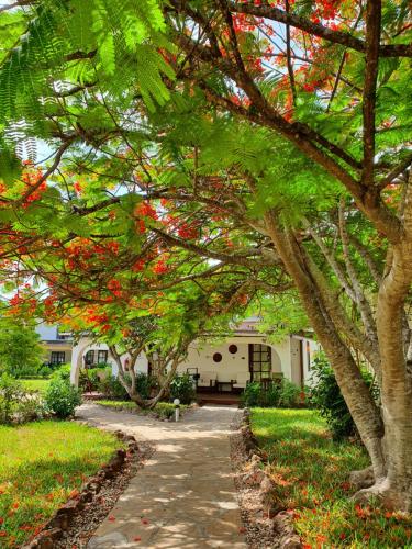 Flame Tree Cottages