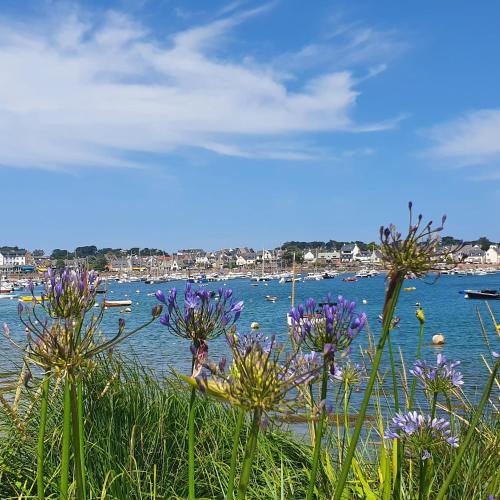 Appartement avec terrasse proche plages et sentiers de randonnée - Location saisonnière - Perros-Guirec