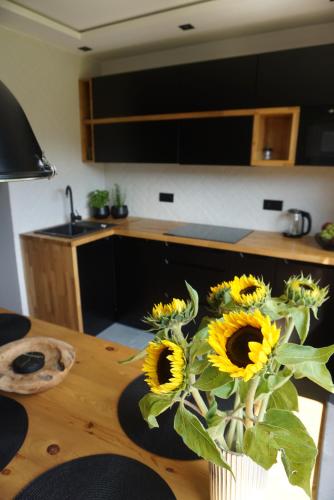 APARTAMENTY JEDYNE TAKIE.... - Apartment - Ustroń