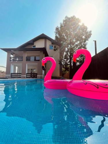Stens 2 - lovely apartment with a pool