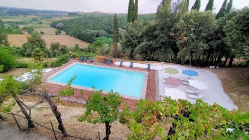 B&B Castelfiorentino - The olive house - Bed and Breakfast Castelfiorentino