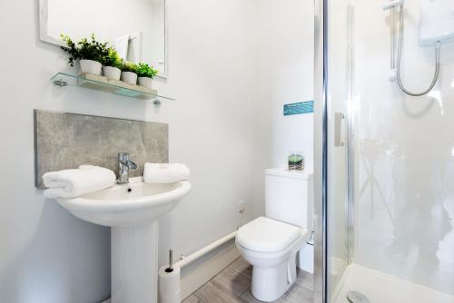 Wrexham Central Stay - Apartment Six - image 8