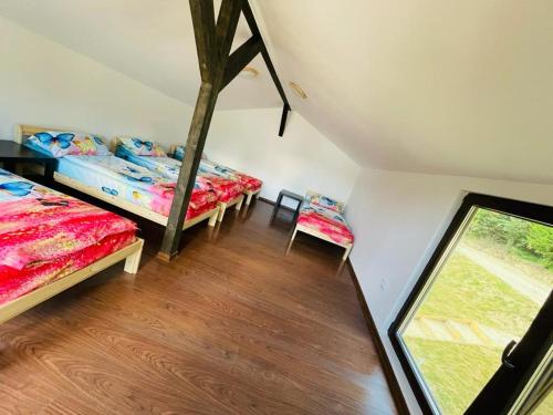 Forest Glamping 5
