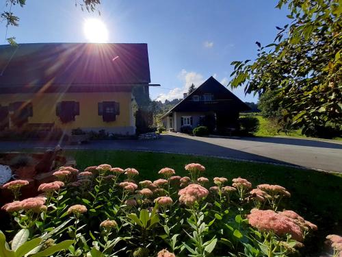 Schilcherweinbau Vollmaier vlg. Wieser