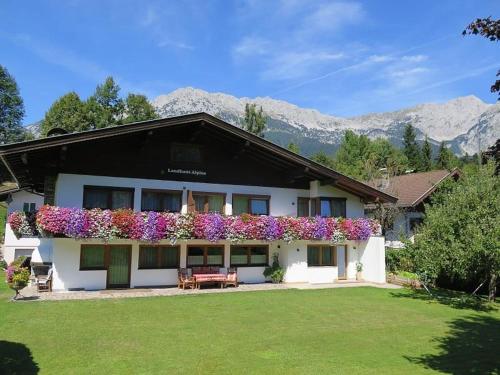 Landhaus Alpina - Apartment - Scheffau am Wilden Kaiser