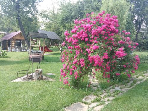 Pidkova, Verkhovyna (photo 3)