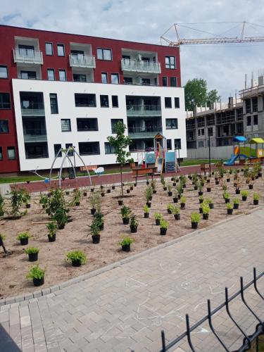 Apartamenty u Grega