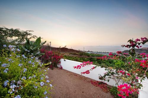  Apartamento Colorado in La Orotava
