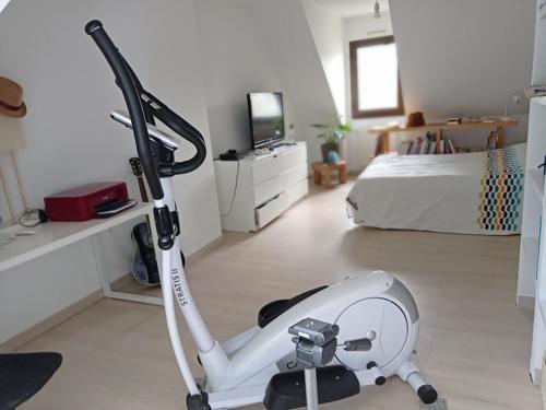 1 chambre d'hote jouxtant Nantes sur la Chapelle sur Erdre