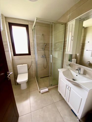 Villa Dolphin Apartments - image 9