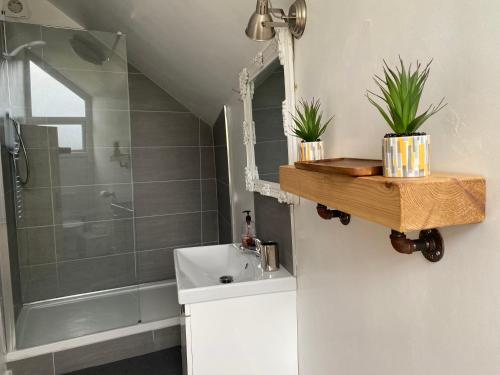 Delightful One Bed Lake District Cottage - image 12