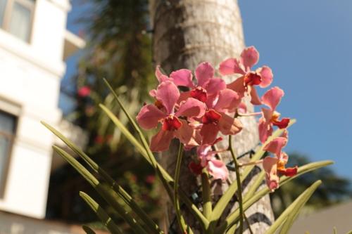 ワン クレセント プレイス