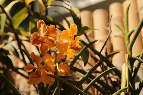 ワン クレセント プレイス19