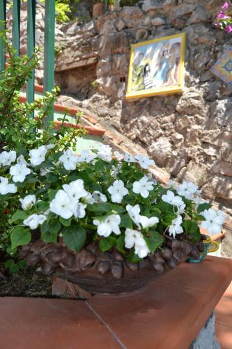 Casa Vacanze Bouganvillea - image 3