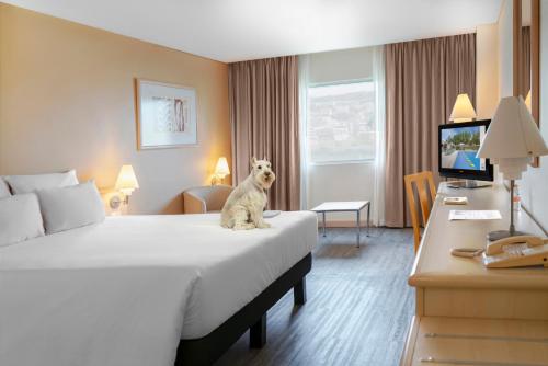 room detail thumbnail 0