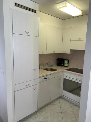 مطبخ, Schönegg Studio (Schonegg Studio) in ريديرالب