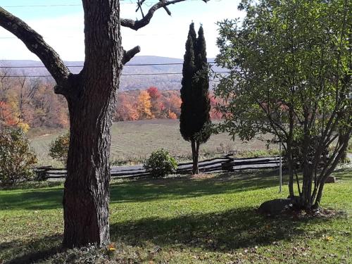 Baneberry Meadows B&B - image 3