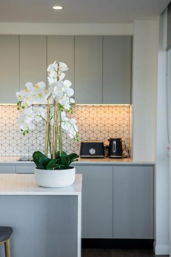 Inspire Boutique Apartments - 식음료(F&B)