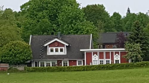 An der Schafsweide in Aukrug, Deutschland