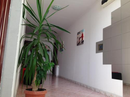 Hotel Mon Caprice - image 7