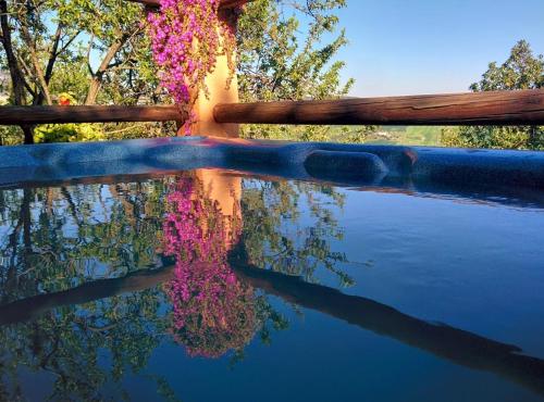 Finca Sábila Finca Sábila