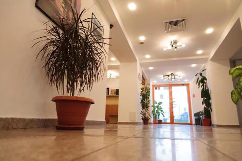 Plus Hotel - image 14