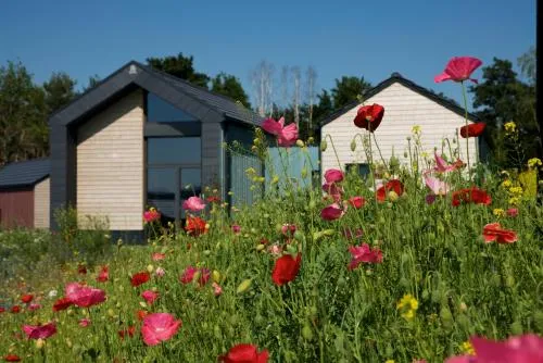 Bio-Seehotel Chalets in Zeulenroda, Deutschland