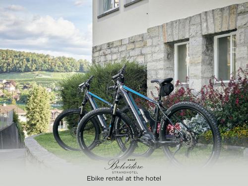 Belvédère Strandhotel - image 14