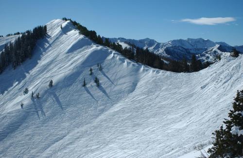 Stylish All-Season Alpine Getaway - Walk to Lifts condo - image 6