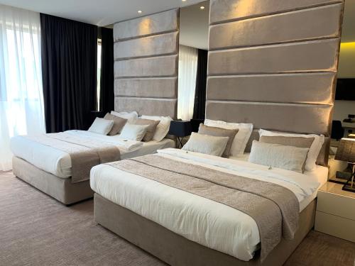 雄獅酒店 (Hotel Leone) in 默主戈耶市中心