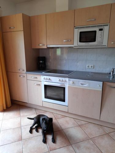 Appartement Hochmuth
