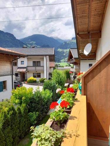 Appartement Hochmuth