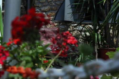 Hotel Asikot in جيفجيليجا