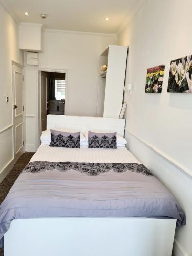 Rushmore Hotel - image 12