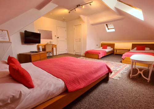 Rushmore Hotel - image 4