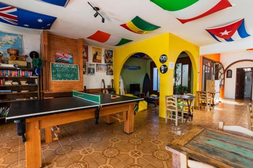 Geckos Hostel - 스포츠&체험활동