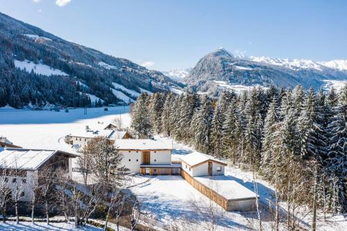 Lichtung Woldererhof Auszeit