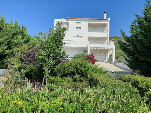  ALIVERI FLAT WITH SEA VIEW in Aliveri