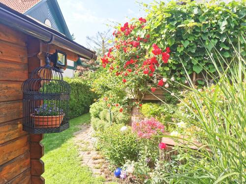 flex living - Business- und Ferienwohnung Wassermann