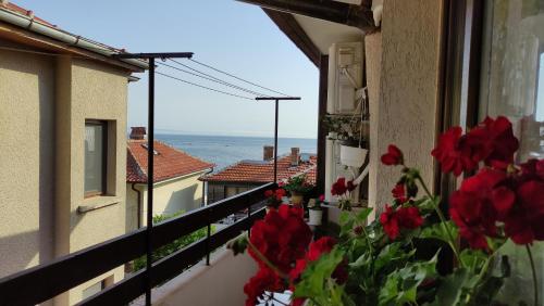 Къща за гости ЕЛЕНИ, Sozopol (zdjęcie 2)