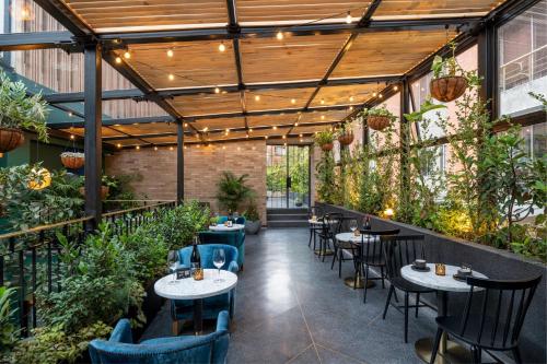 Kert, HAB Hotel Bogotá (HAB Hotel Bogota) in Chapinero (Lakossági-kereskedelmi terület)