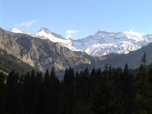  Apartment Monte Grappa by Interhome in Adelboden
