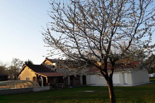 Maison équipée balnéothérapie et salle de sport