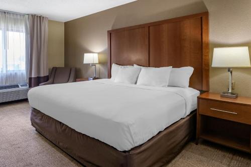 Comfort Inn Moline