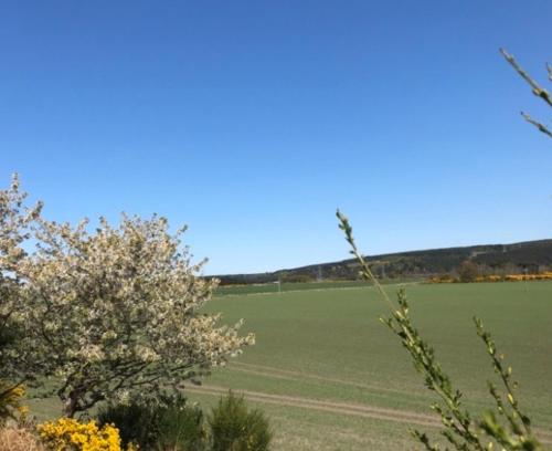 Lovely 1-Bed House in Fochabers Scotland