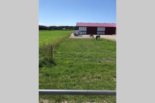 Enkelt boende på charmiga Skaftö (Enkelt boende pa charmiga Skafto) in Grundsund