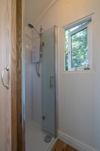 Bannfield shepherds hut in Ballymoney