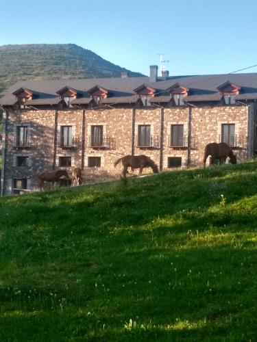 Apt Nuevos con caballos Fio de Neu Laspaules - Apartment - Laspaúles